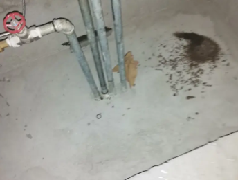 阿克塞卫生间测漏水价格明细