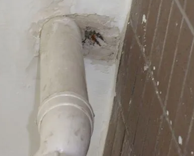 阿克塞漏水检测哪家好